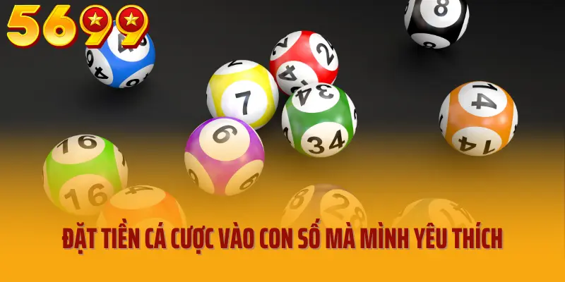 Đặt tiền cá cược vào con số mà mình yêu thích