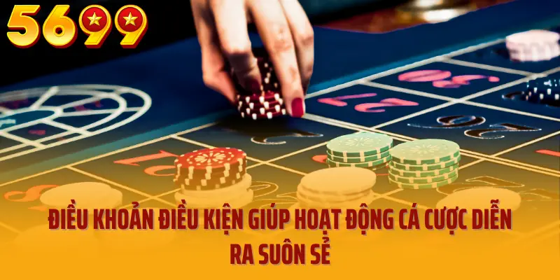 Điều khoản điều kiện giúp hoạt động cá cược diễn ra suôn sẻ