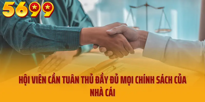 Hội viên cần tuân thủ đầy đủ mọi chính sách của nhà cái