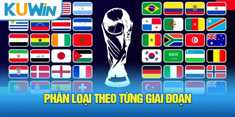Phân loại theo từng giai đoạn
